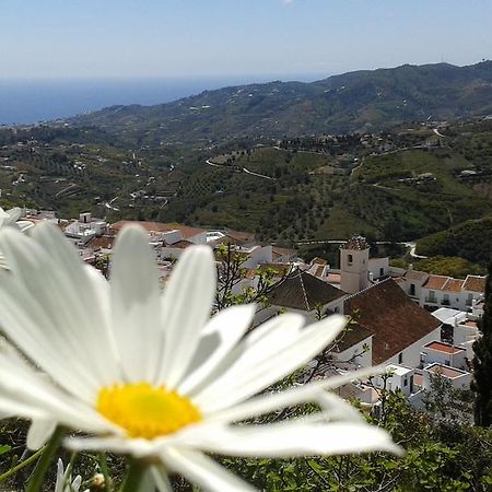Casa Ana, Fantasticas Vistas A Frigiliana, El Mar Y La Montana Villa Ngoại thất bức ảnh