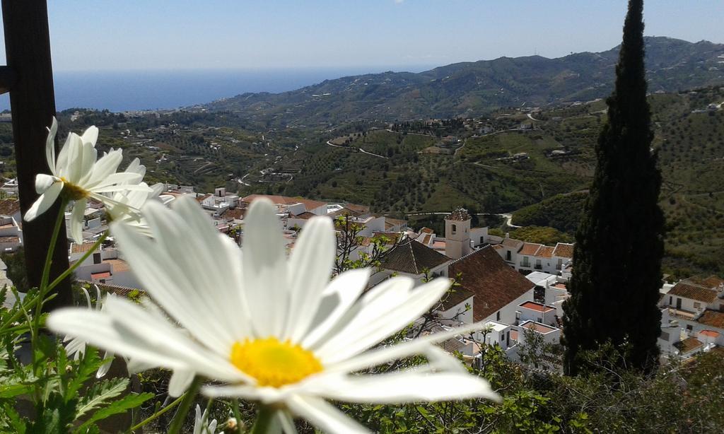 Casa Ana, Fantasticas Vistas A Frigiliana, El Mar Y La Montana Villa Ngoại thất bức ảnh
